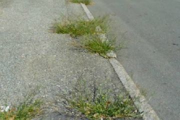 Avviso